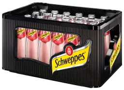 Schweppes Wild Berry  GLASS ( 24 x 0,2 L )