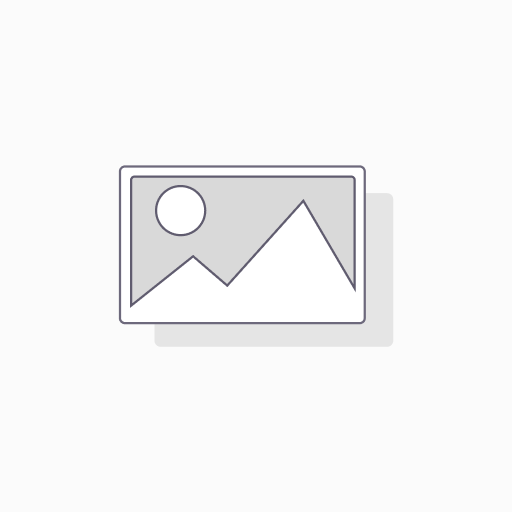 Patron Tequila Silver 40% Vol. 0.7 L